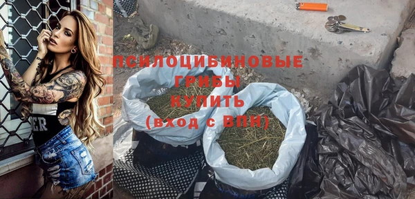 спиды Алексин
