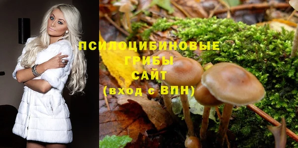ешки Алзамай