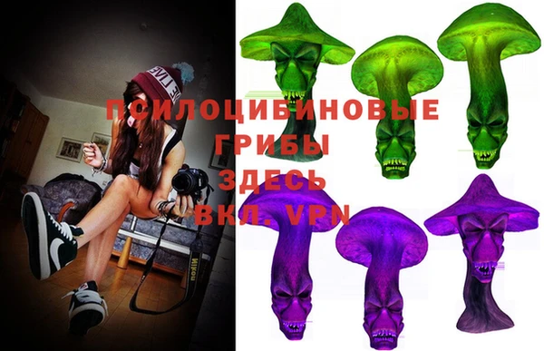 ешки Алзамай